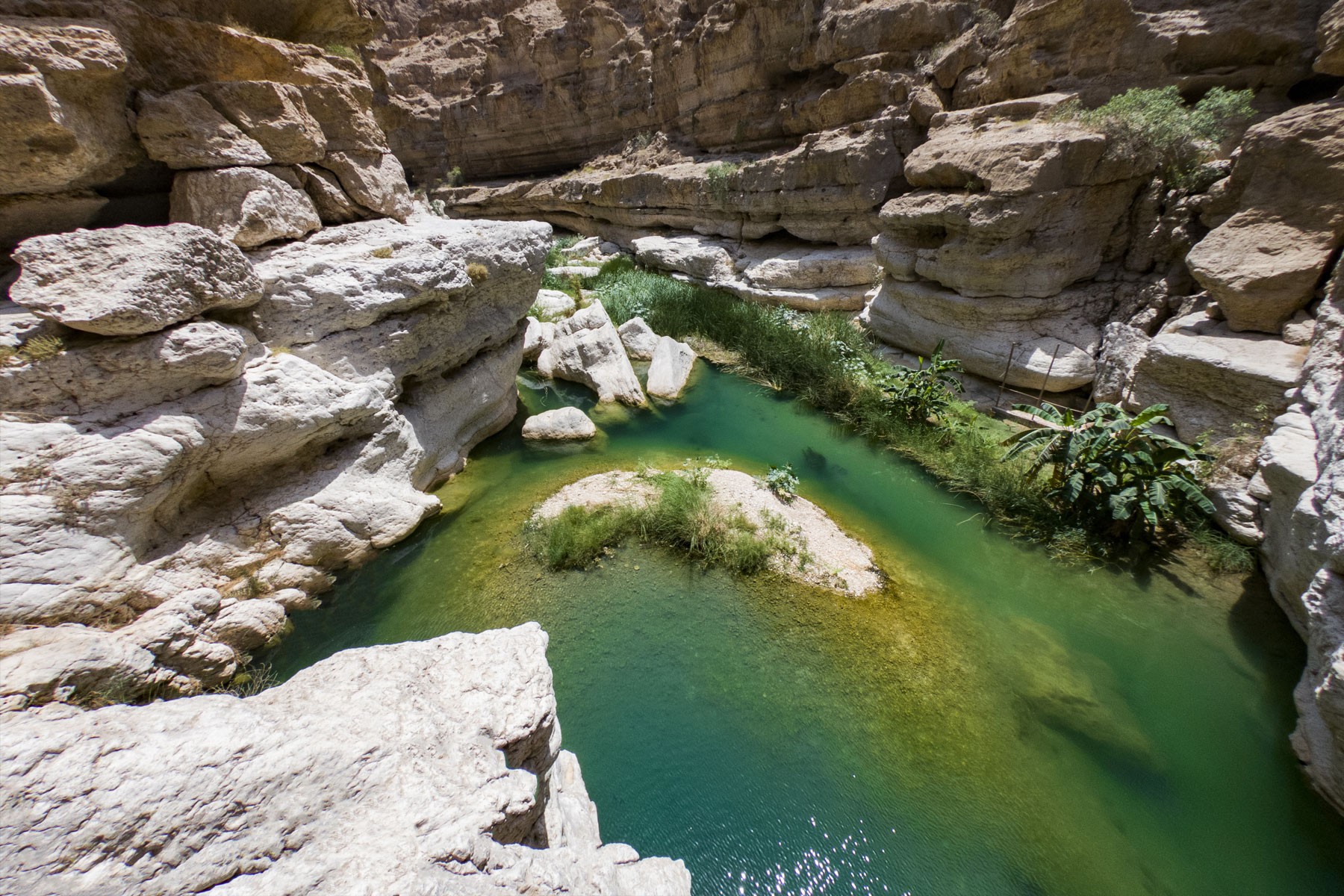 Image Failed to Load