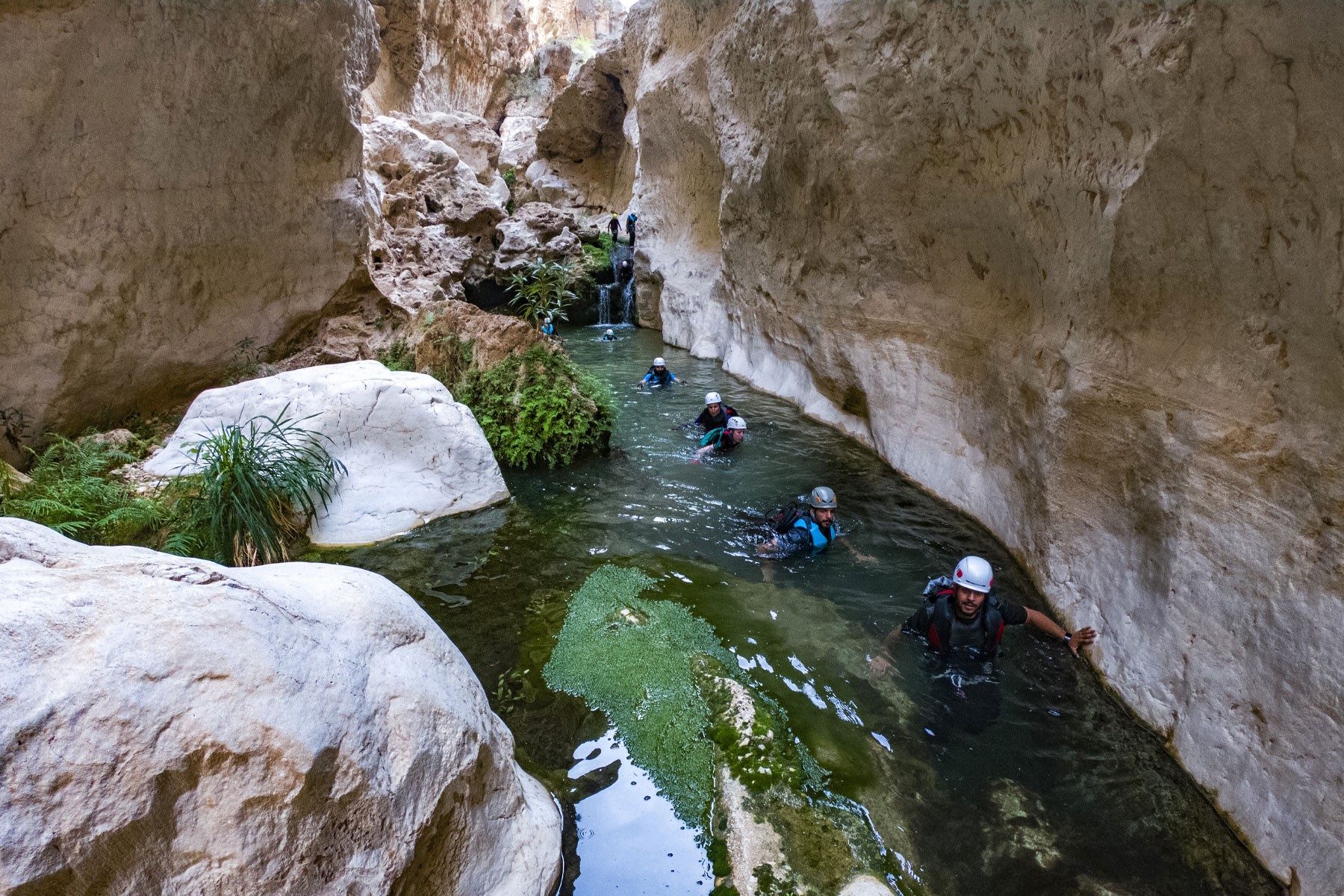 Image Failed to Load