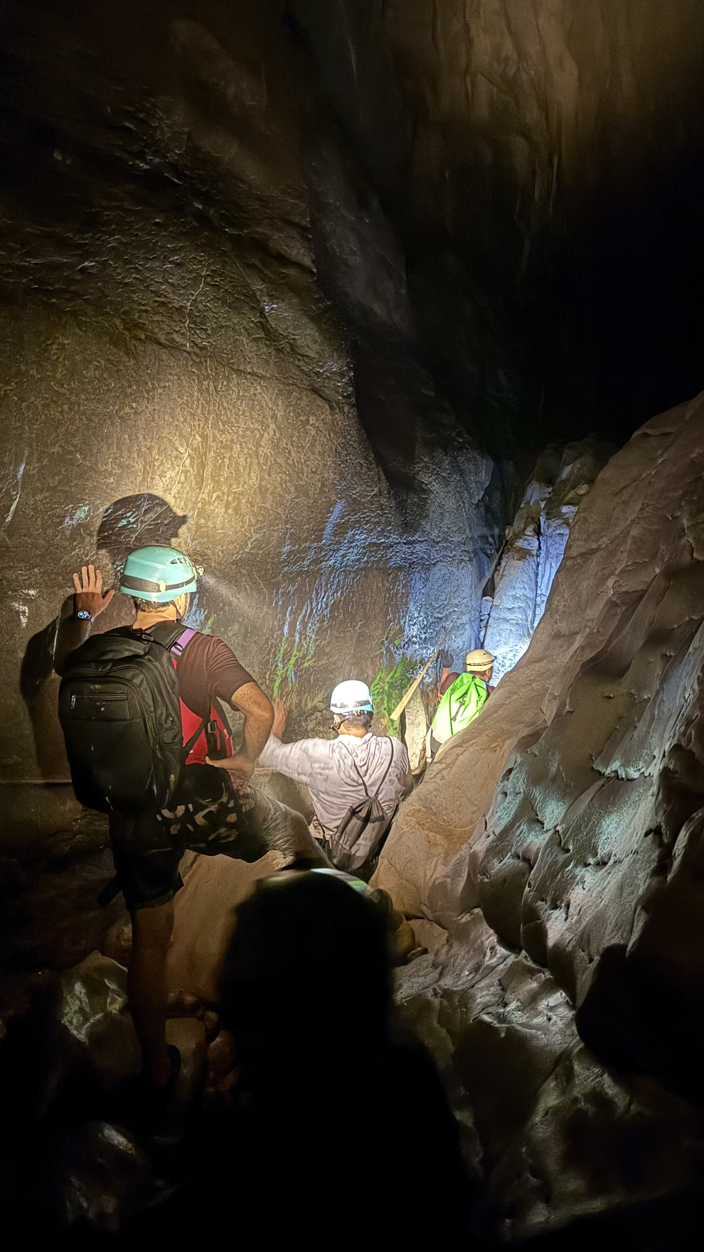 Image Failed to Load